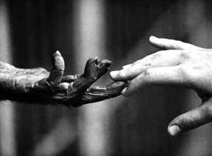 %d8%aa%da%a9%d8%a7%d9%85%d9%84